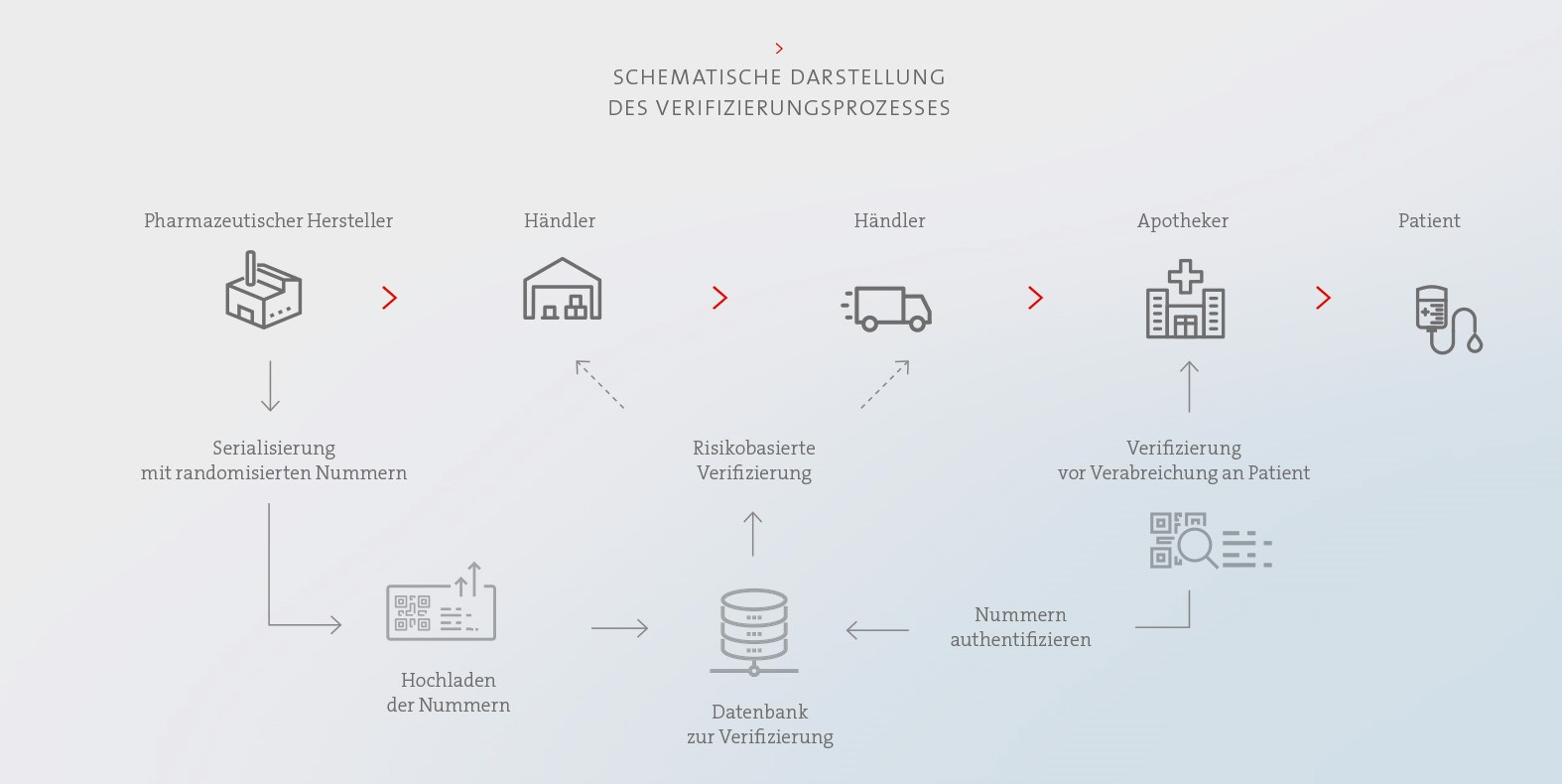 Schematische Darstellung des Verifizierungsprozesses in der EU