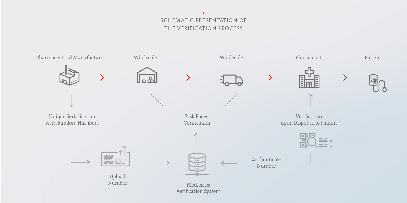 Schematic presentation of the verification process in the EU